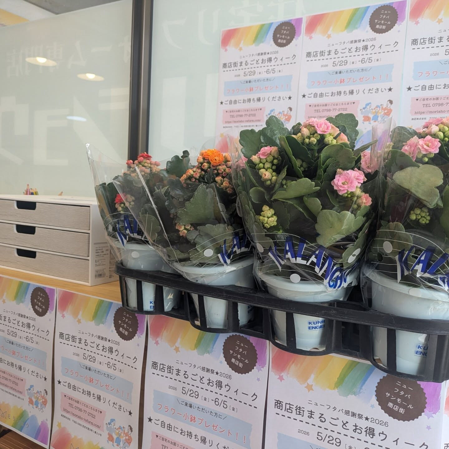 こんにちは😊森匠株式会社の森村です🌳⁡